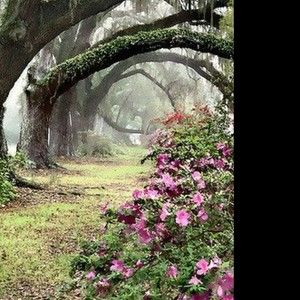 Meet your Posher, Abbey